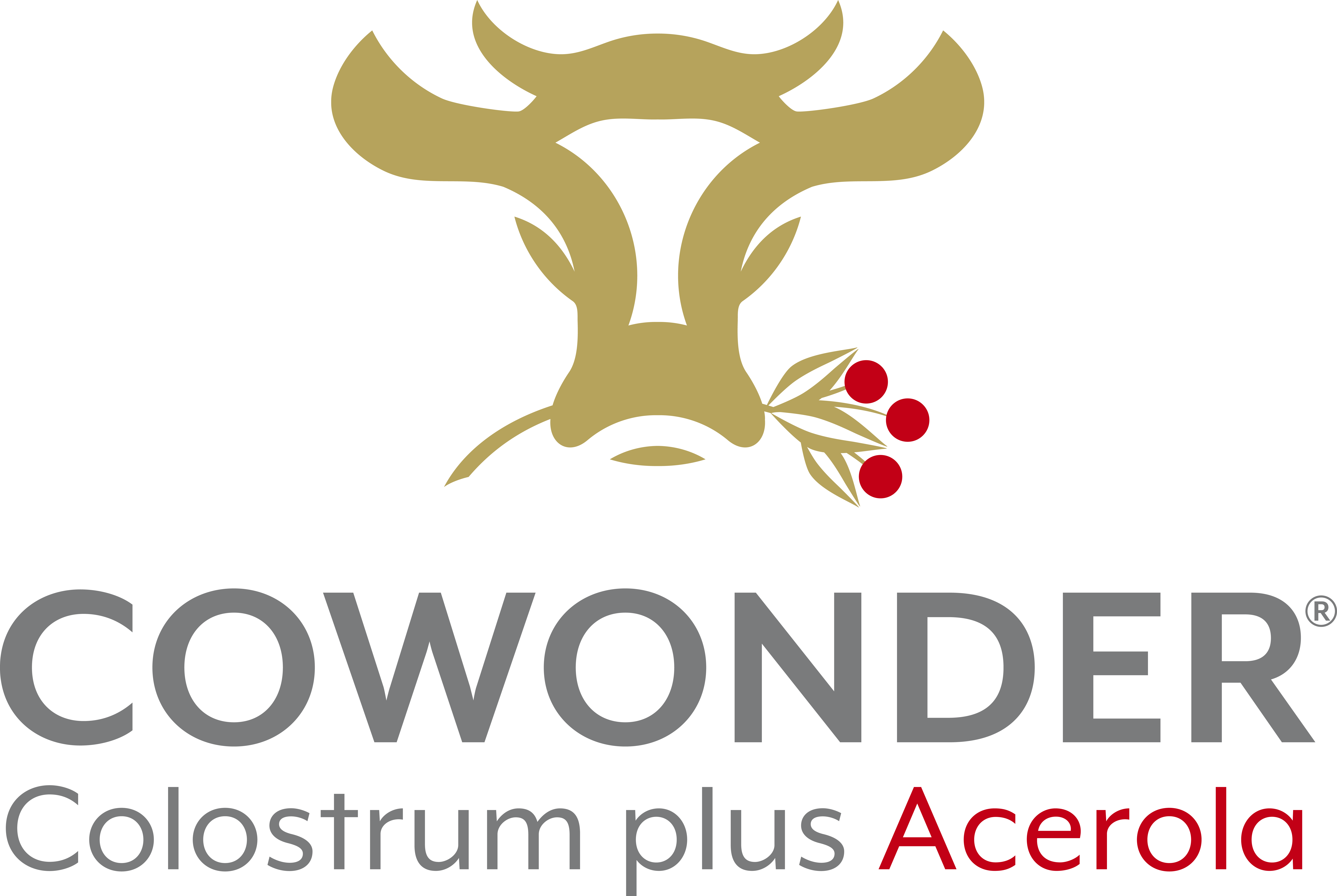 cowonder_logo_r_rz
